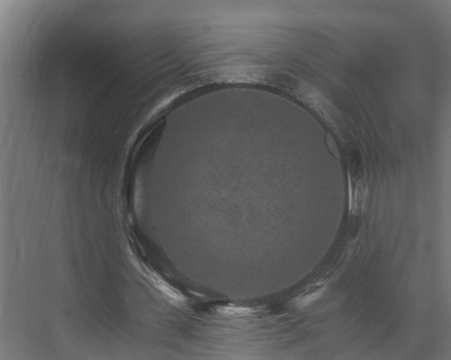 X0000074000531200608281342