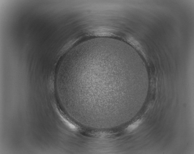X0000074000533200608281342
