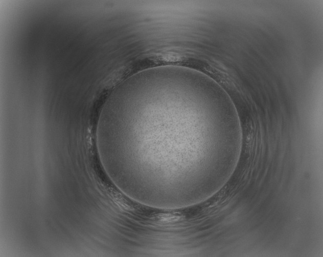 X0000074000555200608281342