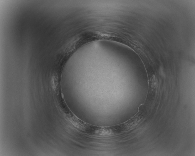 X0000074000559200608281343