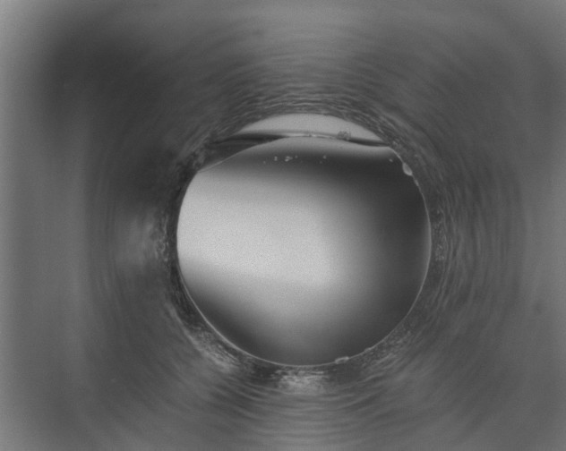 X0000074000560200608281343