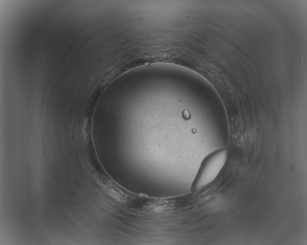 X0000074000563200608281343