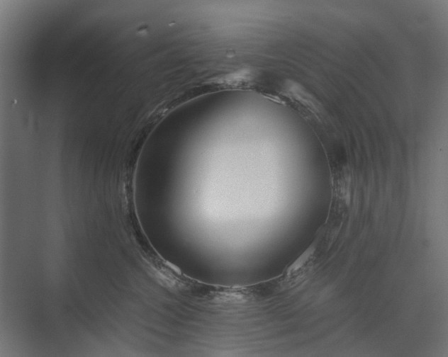 X0000074000572200608281343
