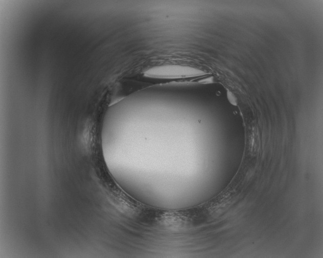 X0000074000608200608281341