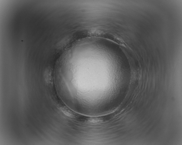 X0000074000619200608281341