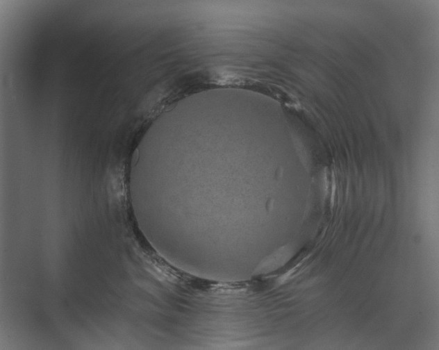 X0000074000620200608281341