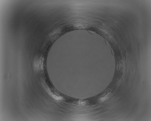 X0000074000647200608281341