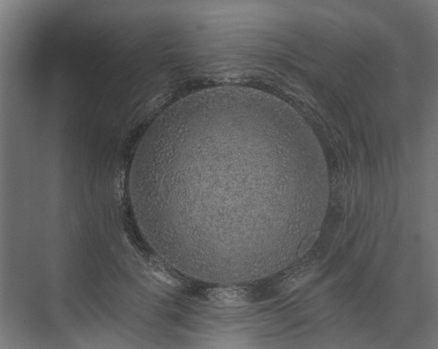 X0000074000652200608281341