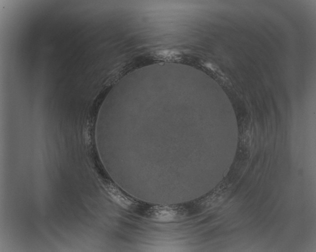 X0000074000658200608281341