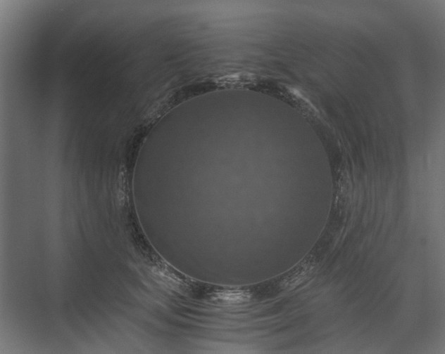 X0000074000659200608281341