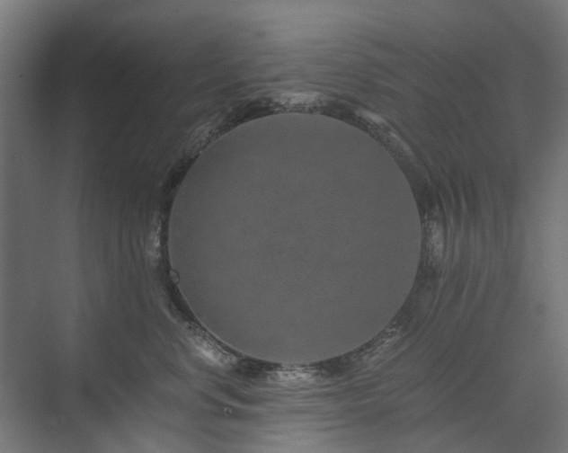 X0000074000668200608281341