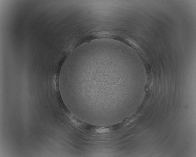 X0000074000669200608281341