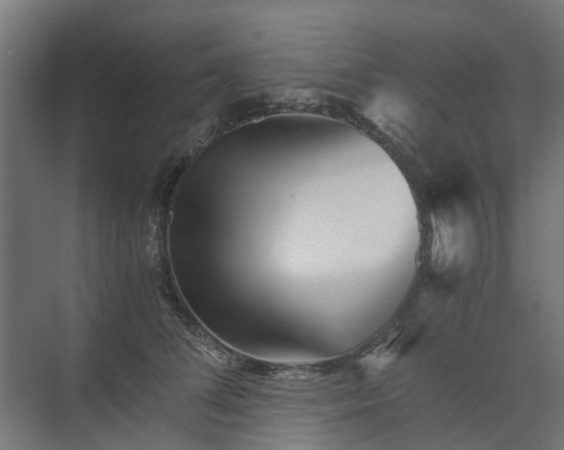 X0000074000708200608281340