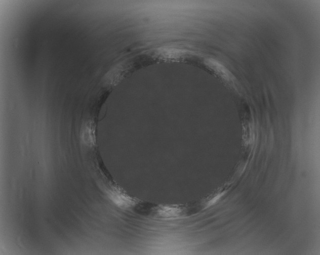 X0000074000718200608281340