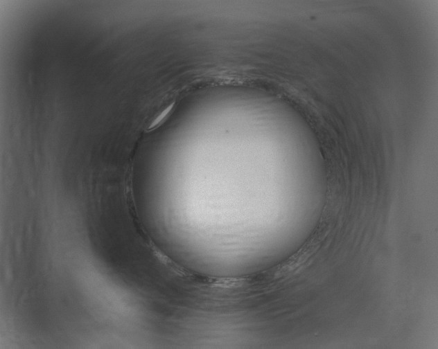 X0000074000720200608281340
