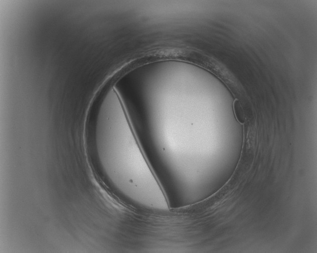 X0000074000722200608281339