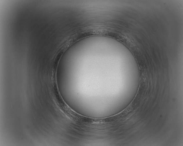 X0000074000744200608281339