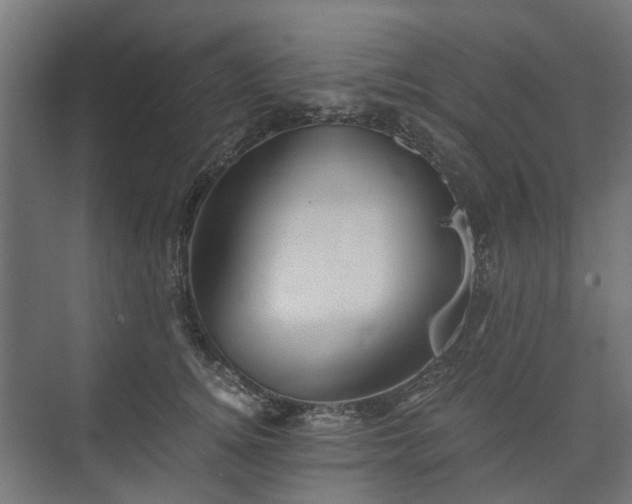 X0000074000756200608281339