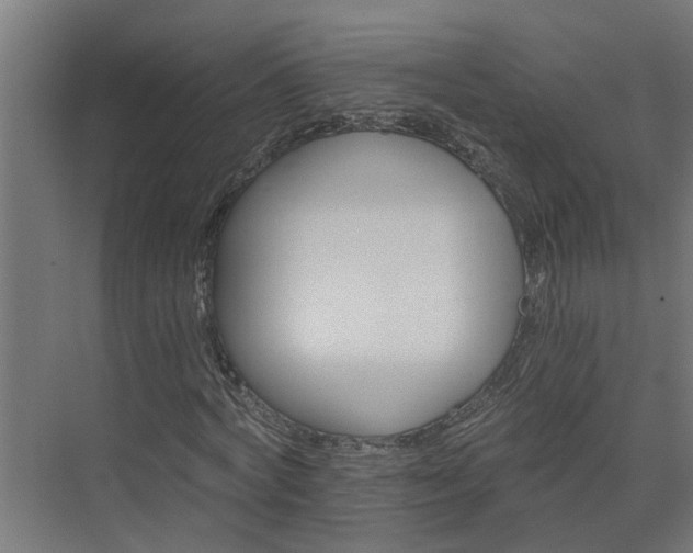 X0000074000772200608281339