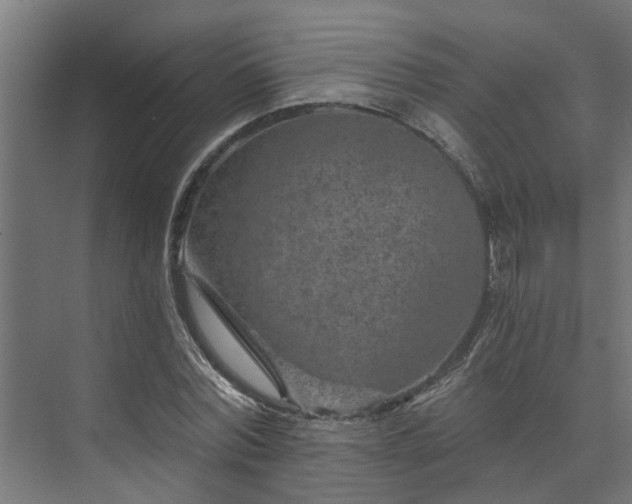 X0000074000780200608281339