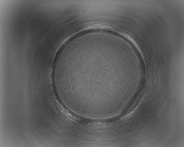 X0000074000783200608281339