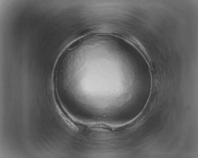 X0000074000795200608281338
