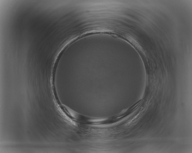 X0000074000797200608281338