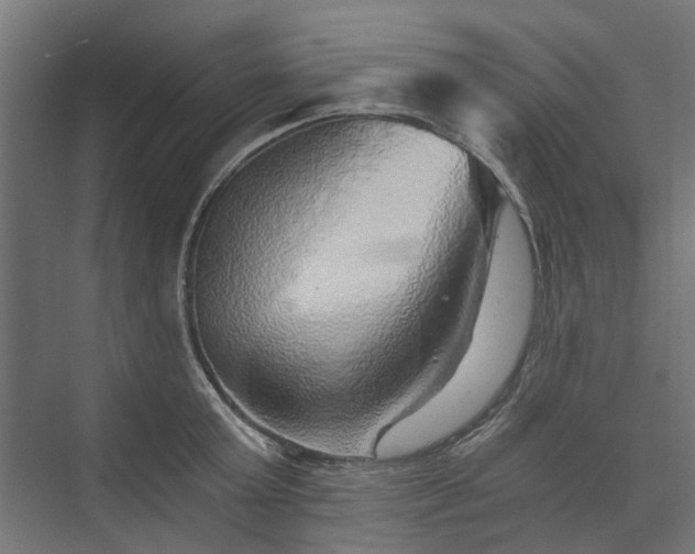 X0000074000803200608281338