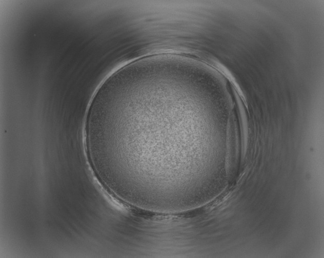 X0000074000811200608281338
