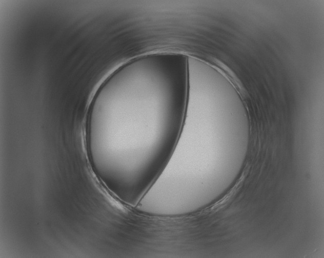 X0000074000812200608281338
