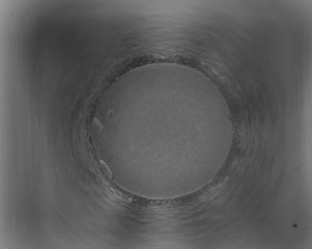 X0000074000817200608281337