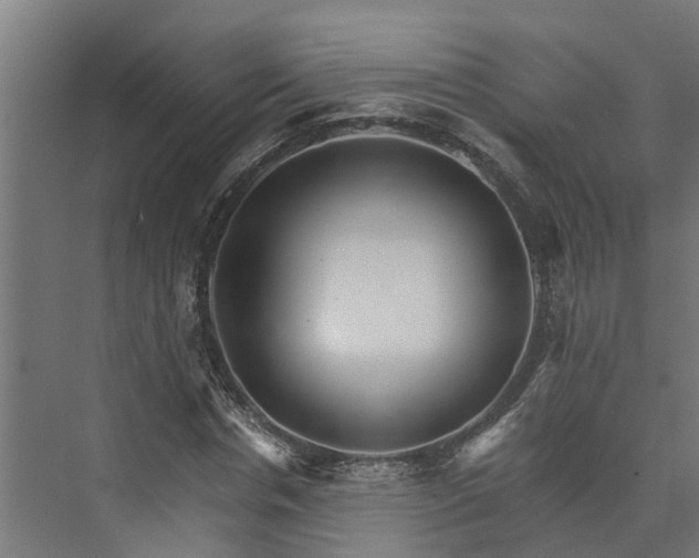 X0000074000826200608281337