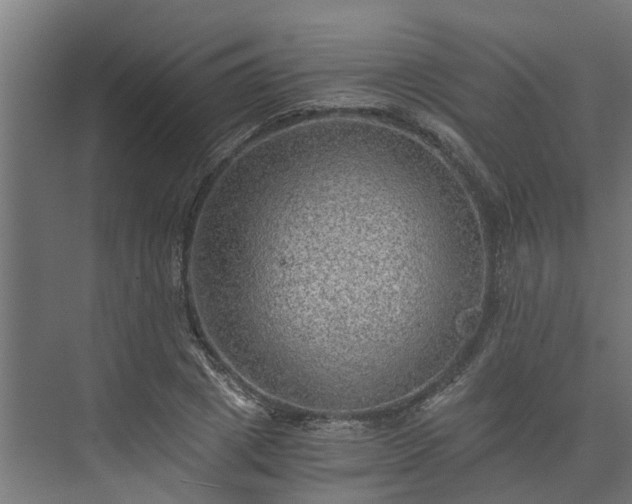 X0000074000833200608281337