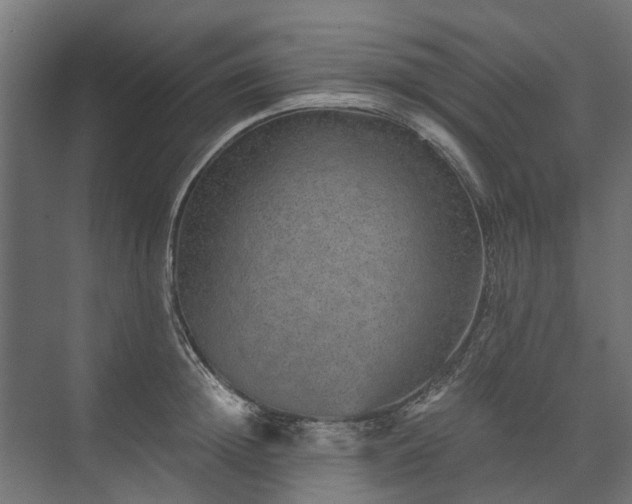 X0000074000852200608281338