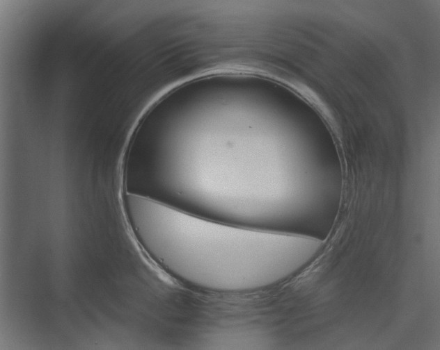 X0000074000862200608281338