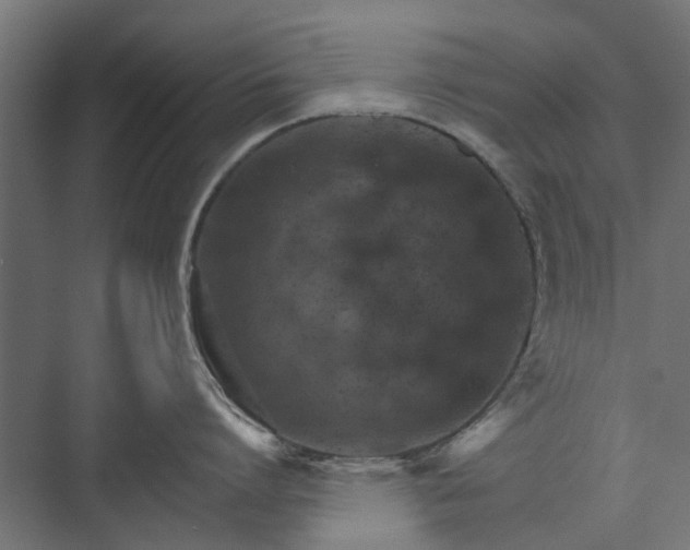 X0000074000864200608281338