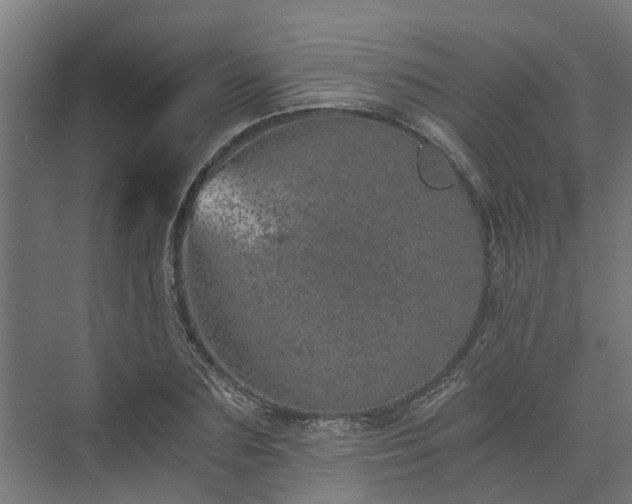 X0000074000883200608281337