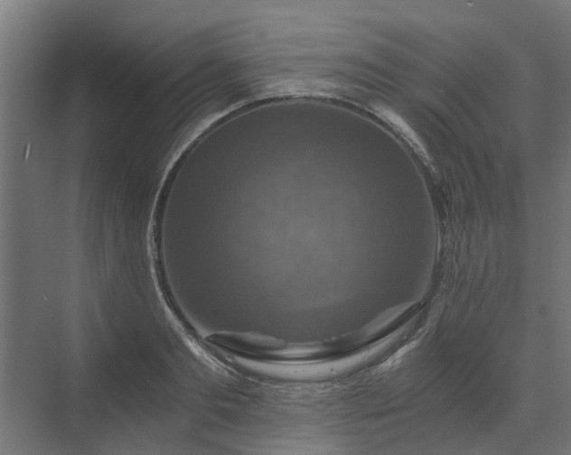 X0000074000893200608281337