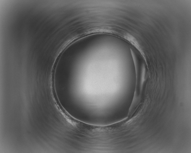 X0000074000898200608281337