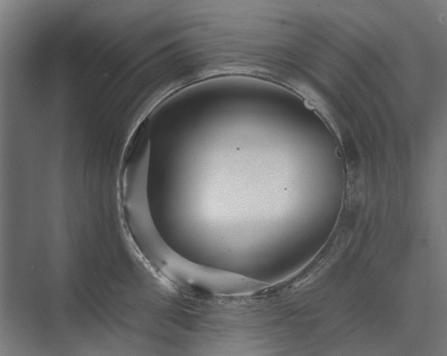 X0000074000906200608281336