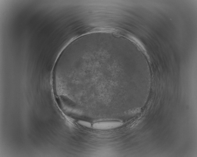 X0000074000907200608281336