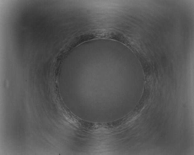 X0000074000913200608281336