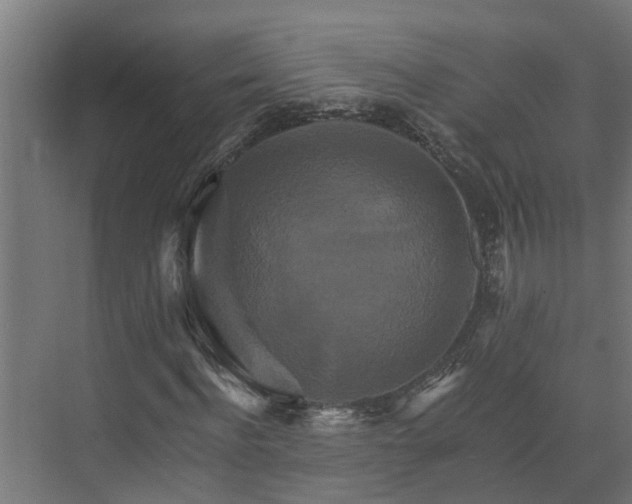 X0000074000916200608281336
