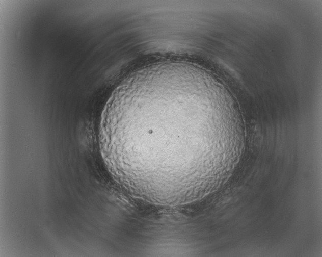 X0000074000918200608281336