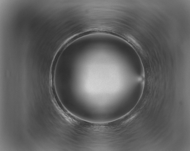 X0000074000940200608281336