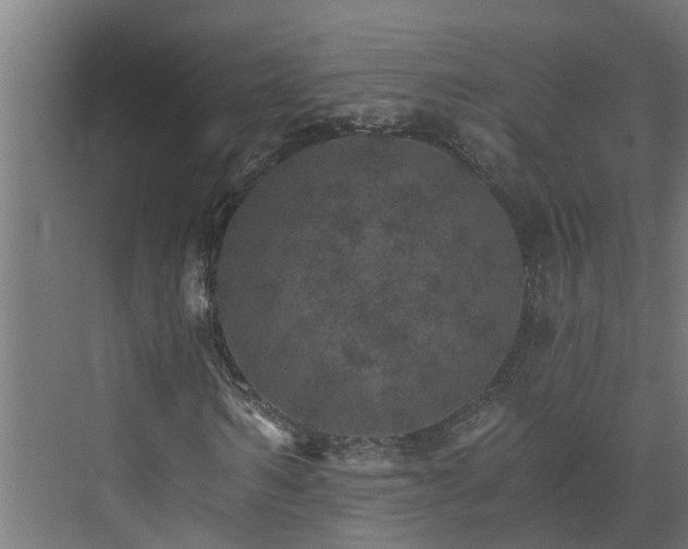 X0000074000962200608281336