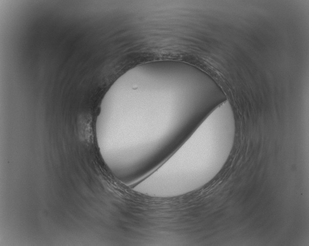 X0000074000963200608281336
