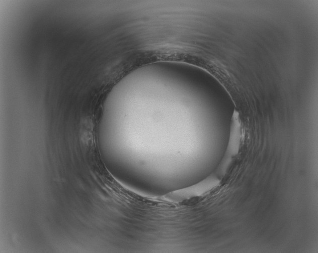 X0000074000964200608281335
