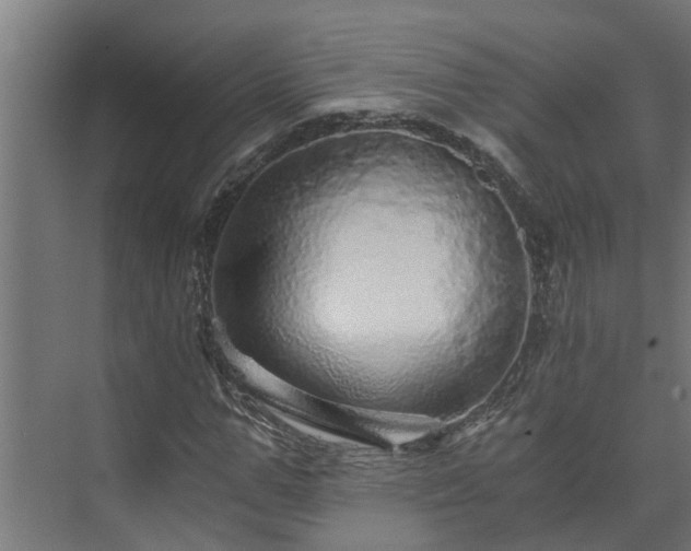X0000074000967200608281335