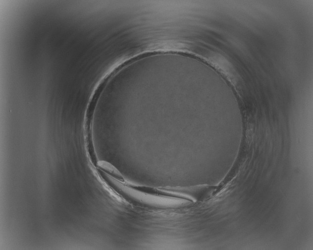 X0000074000990200608281335